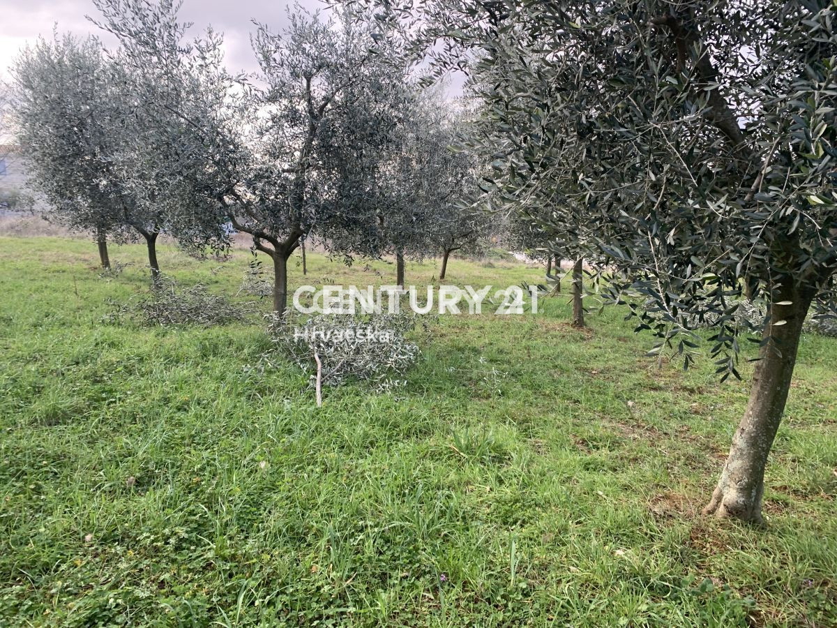 Prodaja, zemljišče, gradbeno, Istarska županija, Vižinada