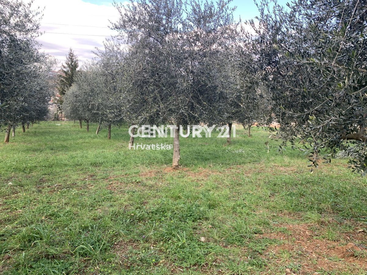 Prodaja, zemljišče, gradbeno, Istarska županija, Vižinada