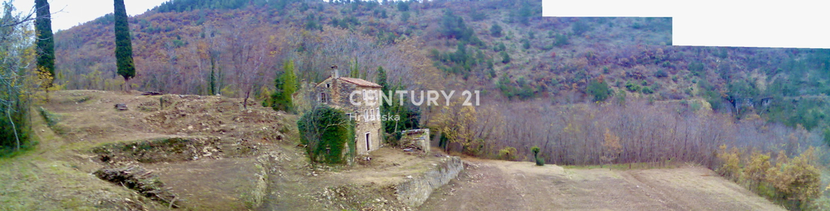 OPRTALJ, OKOLICA, RARITETA NA TRGU, AVTOHTONA ISTARSKA STANCIJA