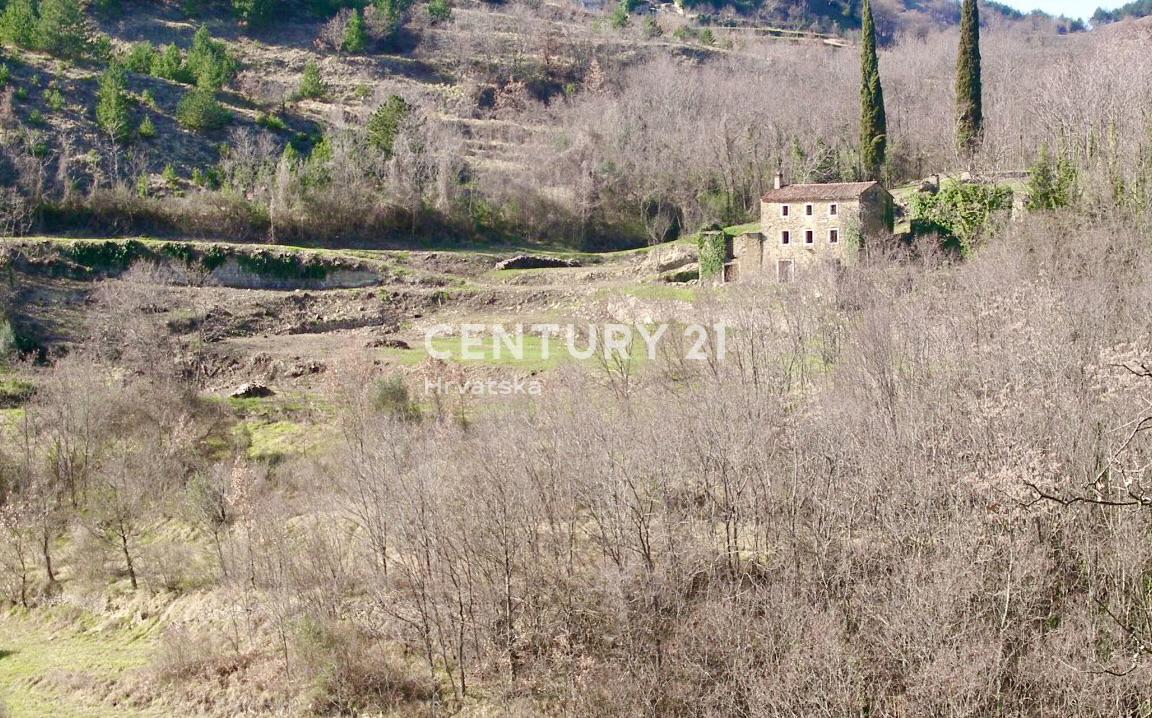 OPRTALJ, OKOLICA, RARITETA NA TRGU, AVTOHTONA ISTARSKA STANCIJA