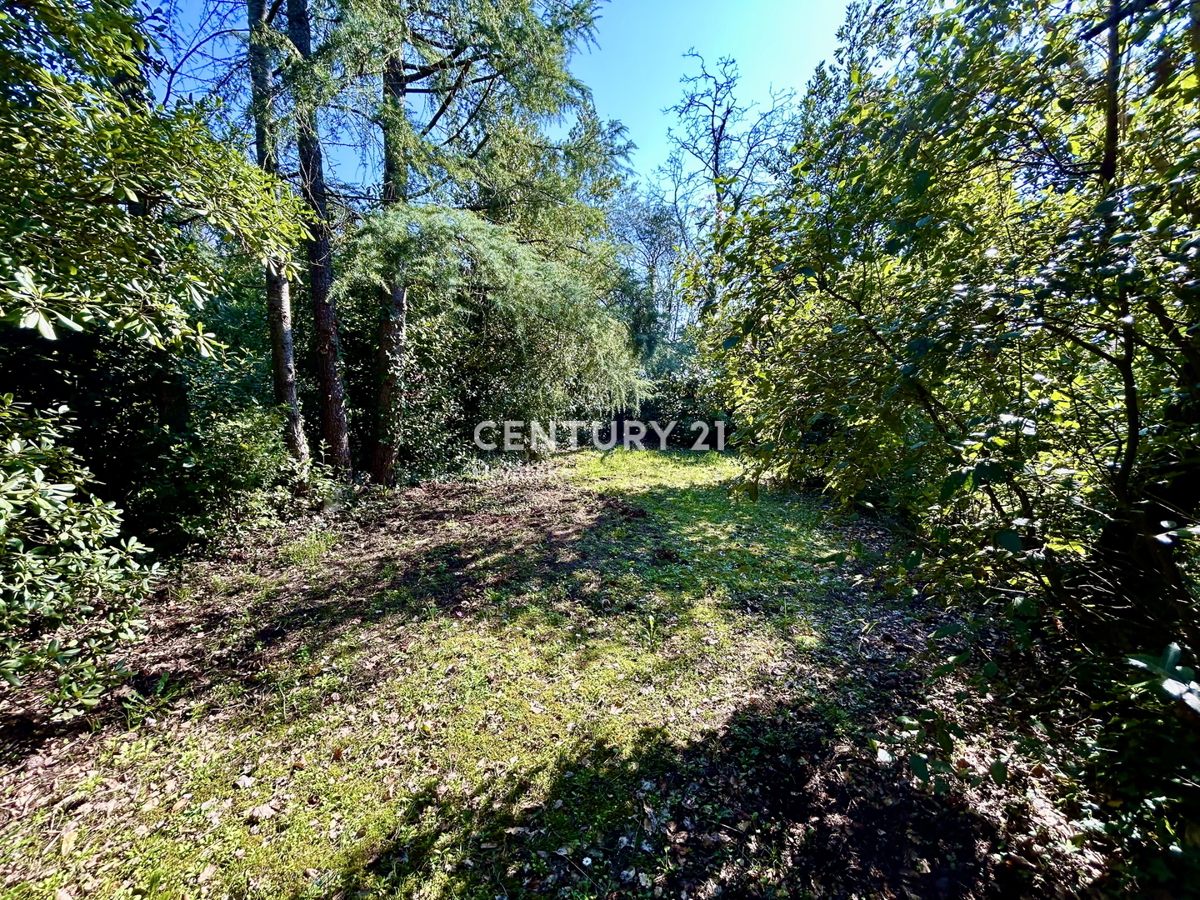 UMAG, GRADBENO ZEMLJIŠČE NA ENI NAJBOLJ PRIVLAČNIH LOKACIJ ZAHODNEGA OBALNEGA DELA ISTRE