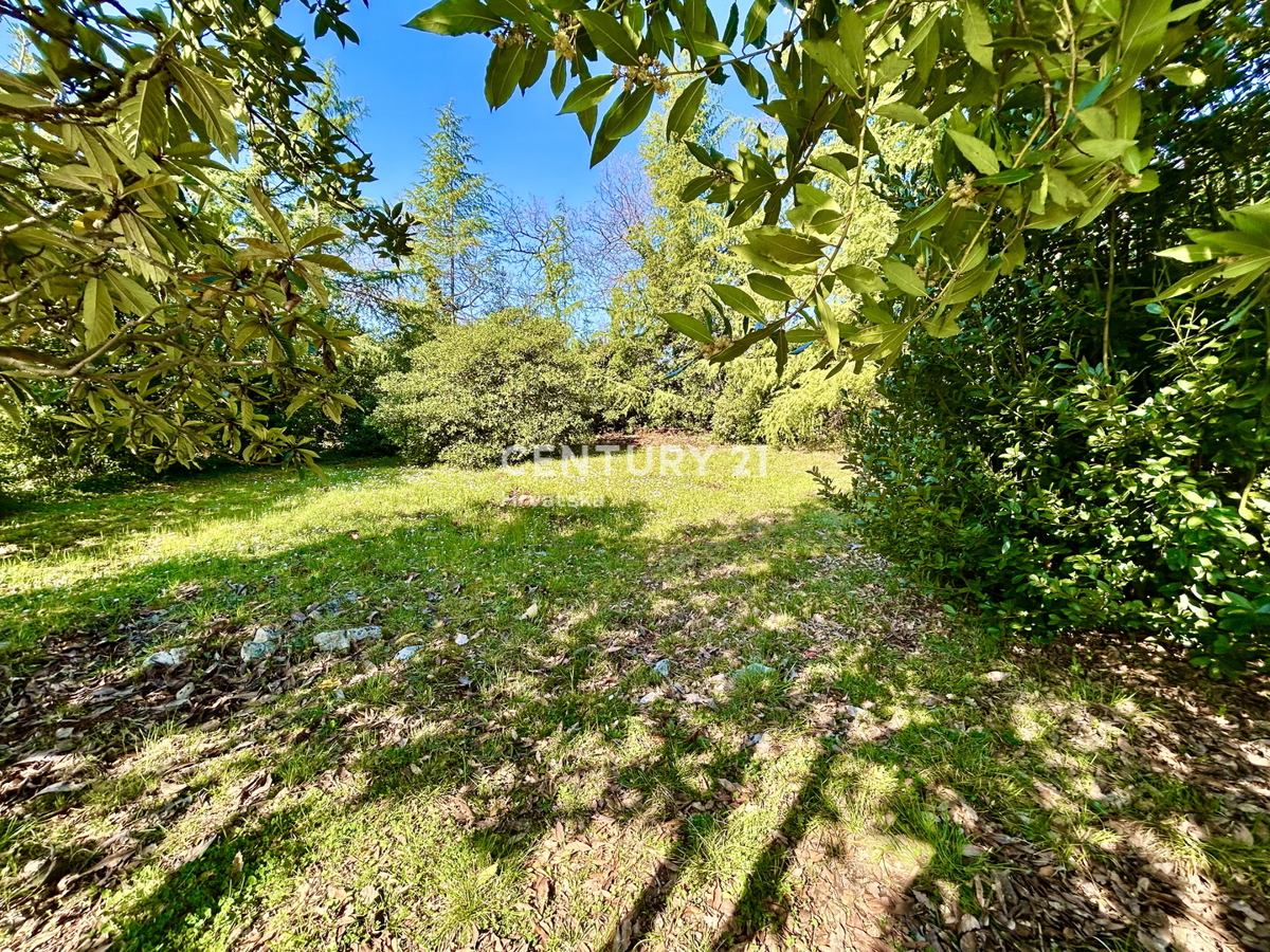 UMAG, GRADBENO ZEMLJIŠČE NA ENI NAJBOLJ PRIVLAČNIH LOKACIJ ZAHODNEGA OBALNEGA DELA ISTRE