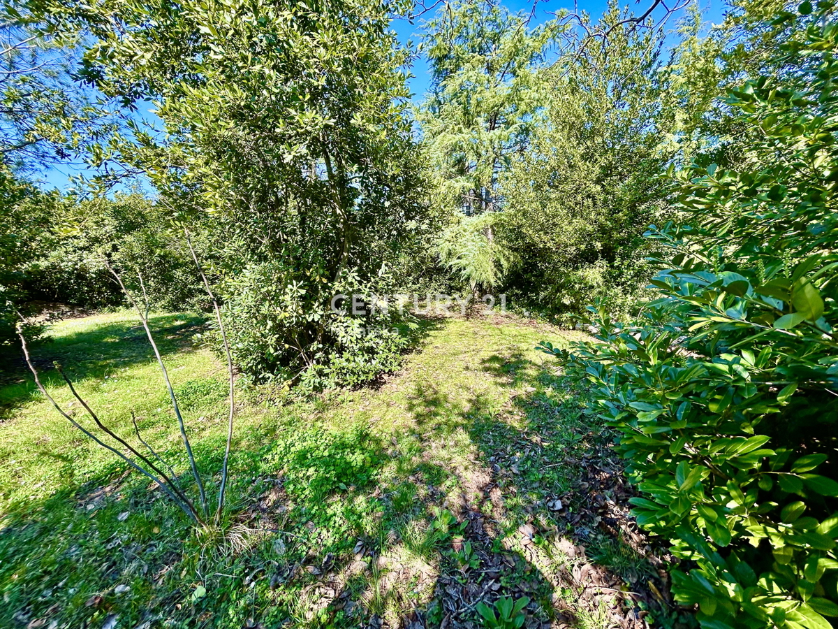 UMAG, GRADBENO ZEMLJIŠČE NA ENI NAJBOLJ PRIVLAČNIH LOKACIJ ZAHODNEGA OBALNEGA DELA ISTRE