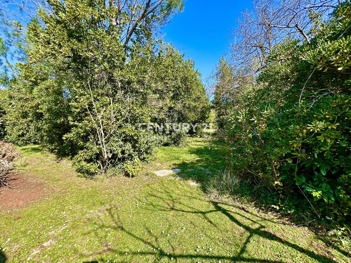 UMAG, GRADBENO ZEMLJIŠČE NA ENI NAJBOLJ PRIVLAČNIH LOKACIJ ZAHODNEGA OBALNEGA DELA ISTRE