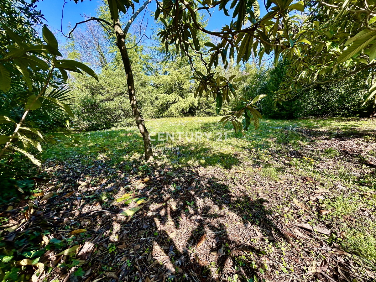 UMAG, GRADBENO ZEMLJIŠČE NA ENI NAJBOLJ PRIVLAČNIH LOKACIJ ZAHODNEGA OBALNEGA DELA ISTRE