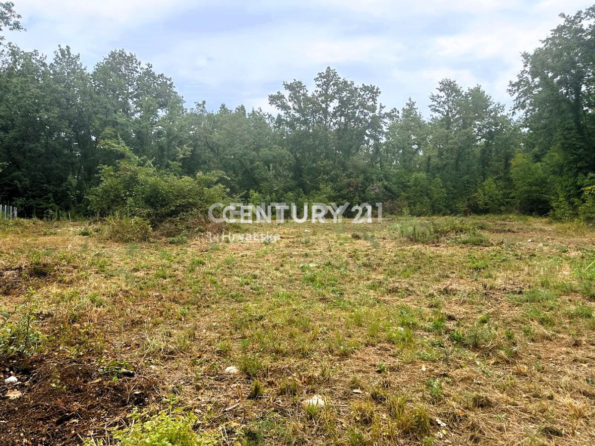 Prodaja, zemljišče, zazidljivo, Istarska županija, Brtonigla