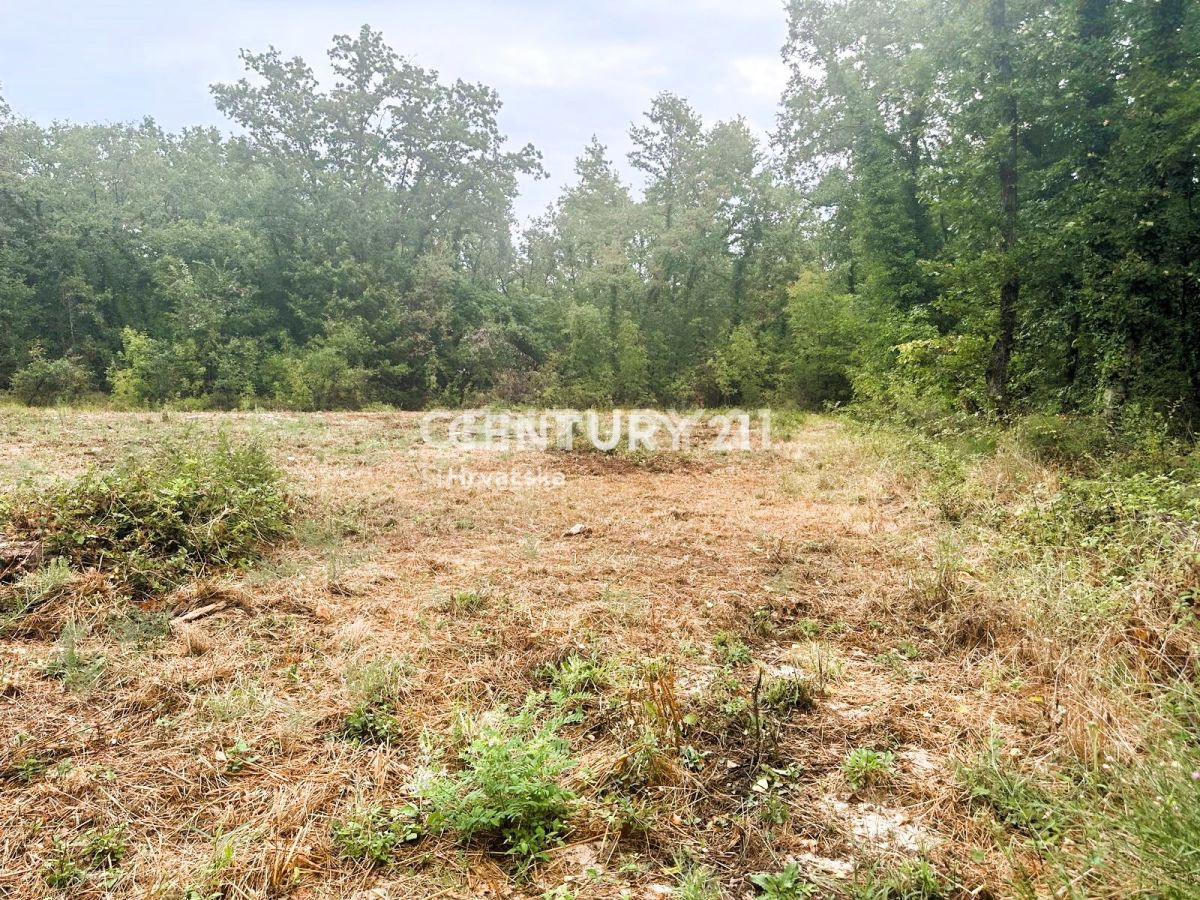 Prodaja, zemljišče, zazidljivo, Istarska županija, Brtonigla