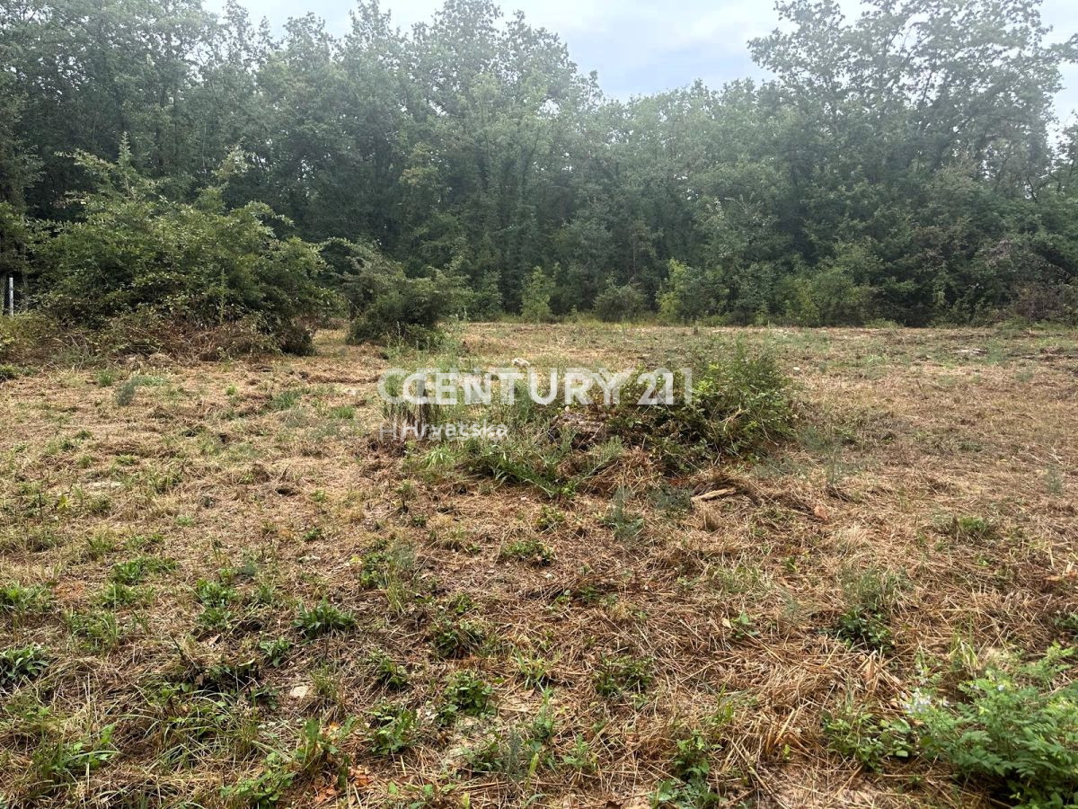 Prodaja, zemljišče, zazidljivo, Istarska županija, Brtonigla