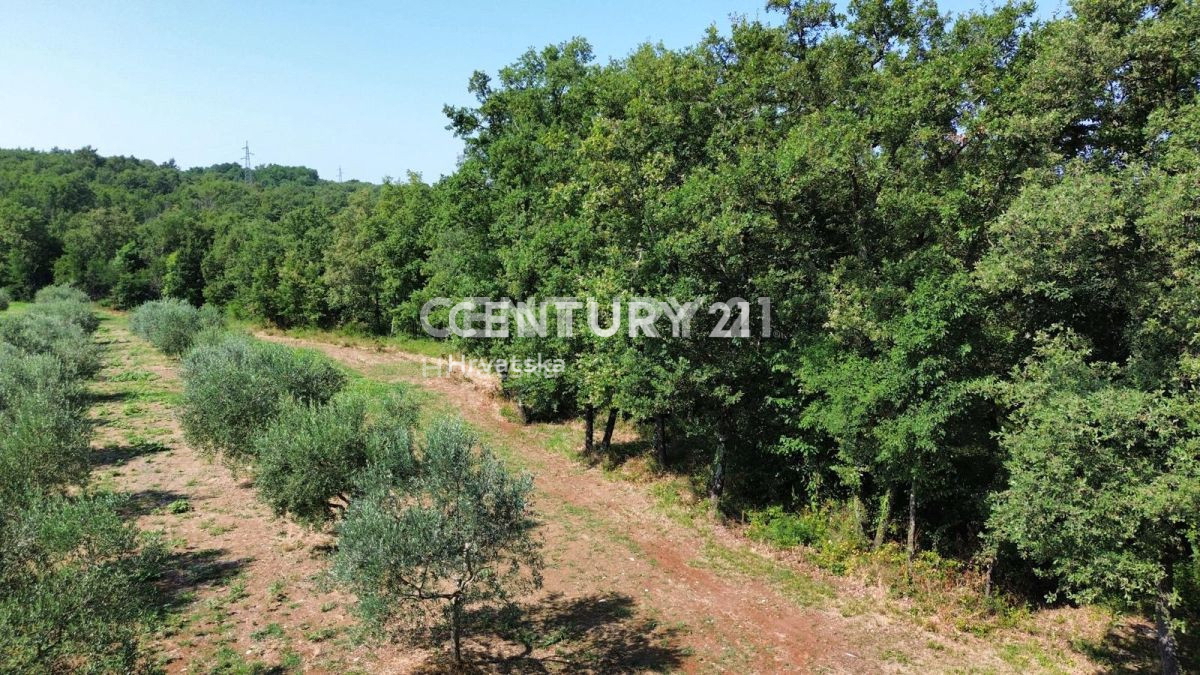 Prodaja, zemljišče, gradbeno, Istarska županija, Brtonigla