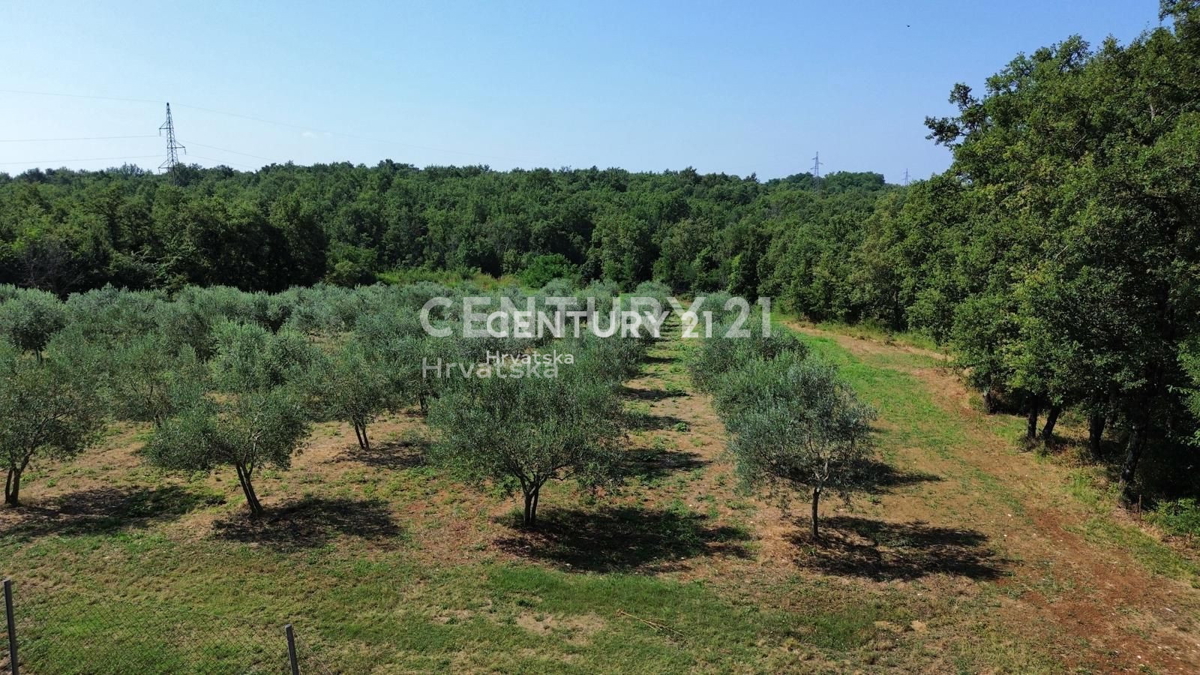 Prodaja, zemljišče, gradbeno, Istarska županija, Brtonigla