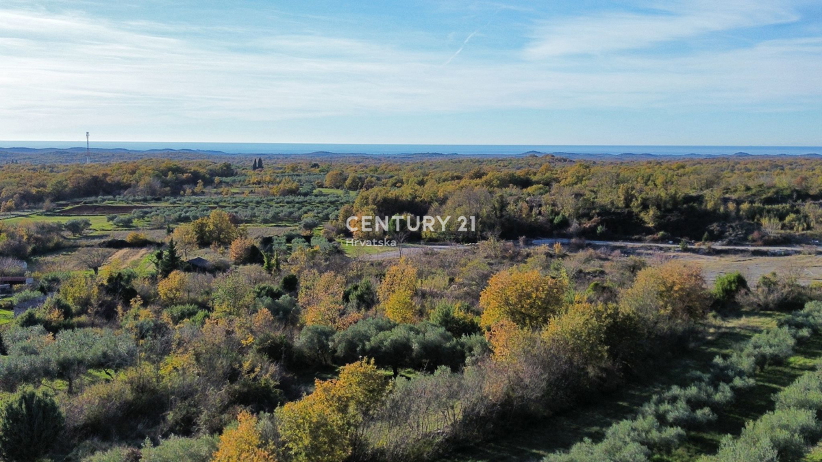 POREČ, SVETI LOVREČ, GRADBENO ZEMLJIŠČE S POGLEDOM NA MORJE