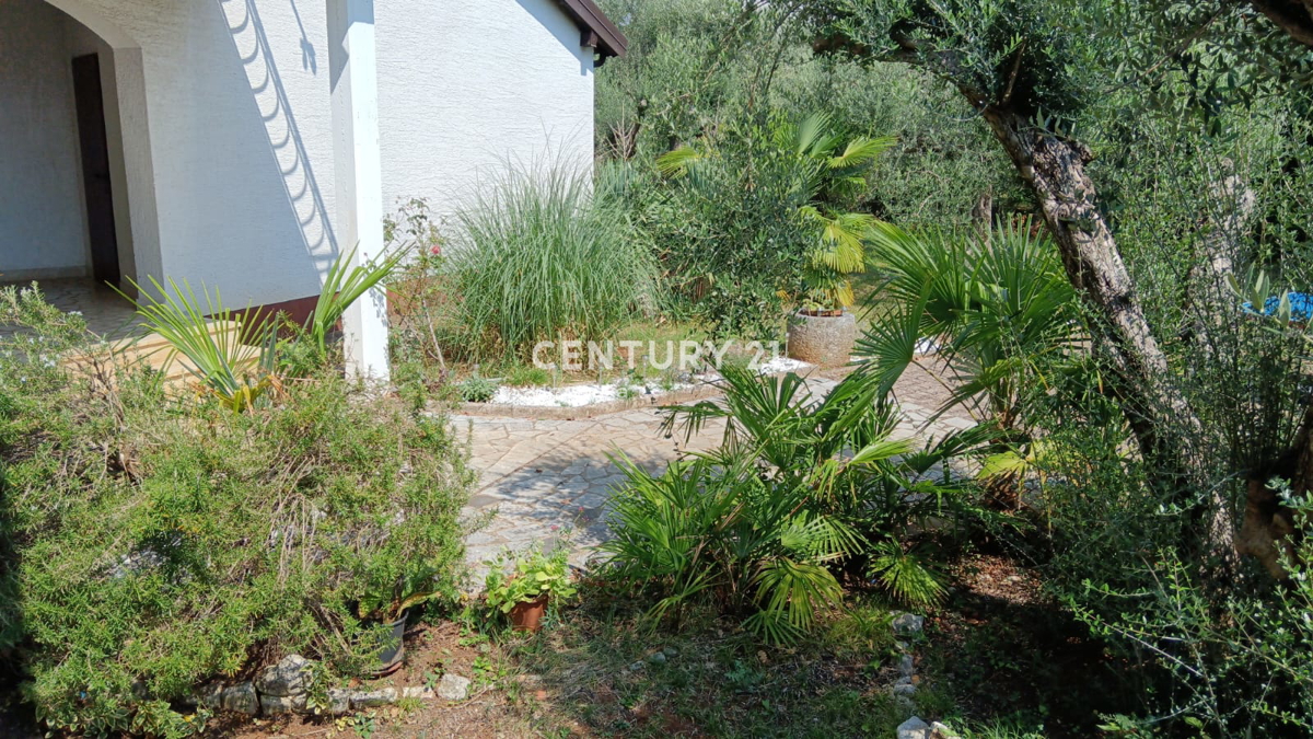 POREČ, PRODAJA SE HIŠA Z VELIKIM DVORIŠČEM IN BAZENOM, VELIKO POTENCIALA