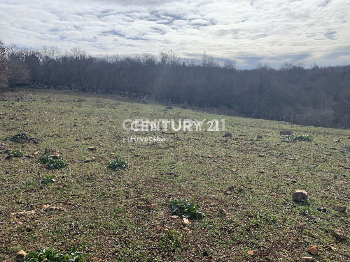 Prodaja, zemljišče, zazidljivo, Istarska županija, Višnjan, Radoši pri Višnjanu