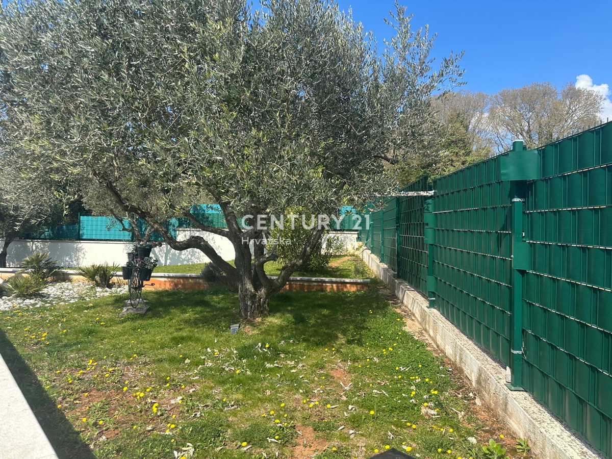 KRINGA, HIŠA S BAZENOM IN VELIKIM DVORIŠČEM NA MIRNI LOKACIJI