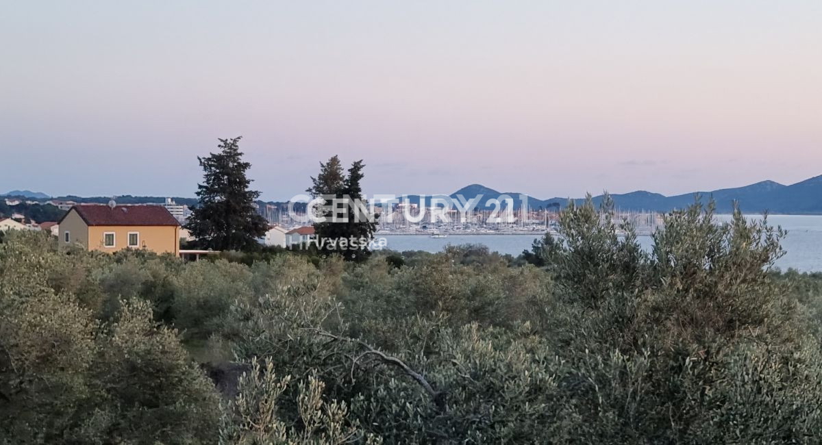 Biograd na Moru, Primorska, Sveti Filip in Jakov, prodaja se vzdrževani oljčnik