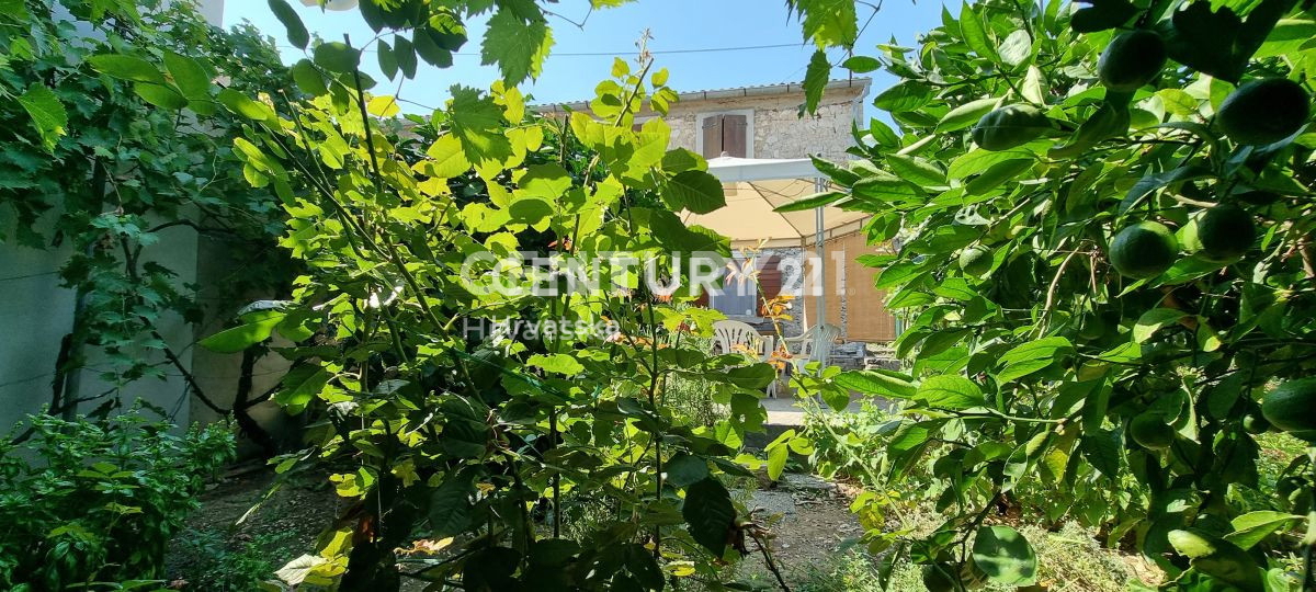 Hiša z veliko garažo in pomožnim objektom v središču Tkona, 70 m od plaže