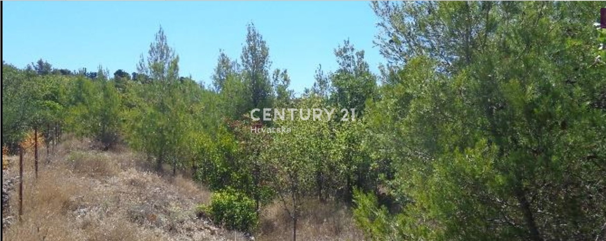 Prvić otok - Vodice - kmetijsko zemljišče