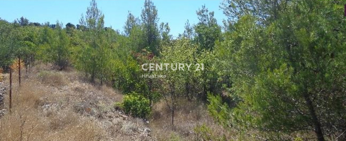 Prvić otok - Vodice - kmetijsko zemljišče