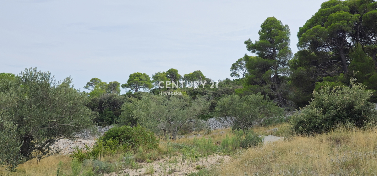 Pašman, TKON Prodaja se kmetijsko zemljišče na pobočju Ćokovca