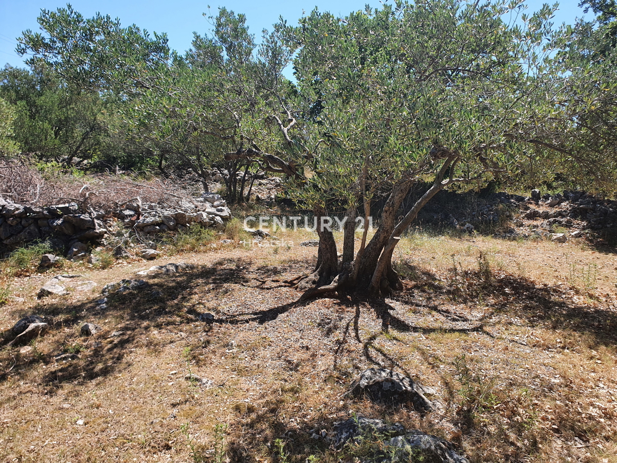 Drage - Pakoštane - gradbeno zemljišče z razgledom na morje in marino