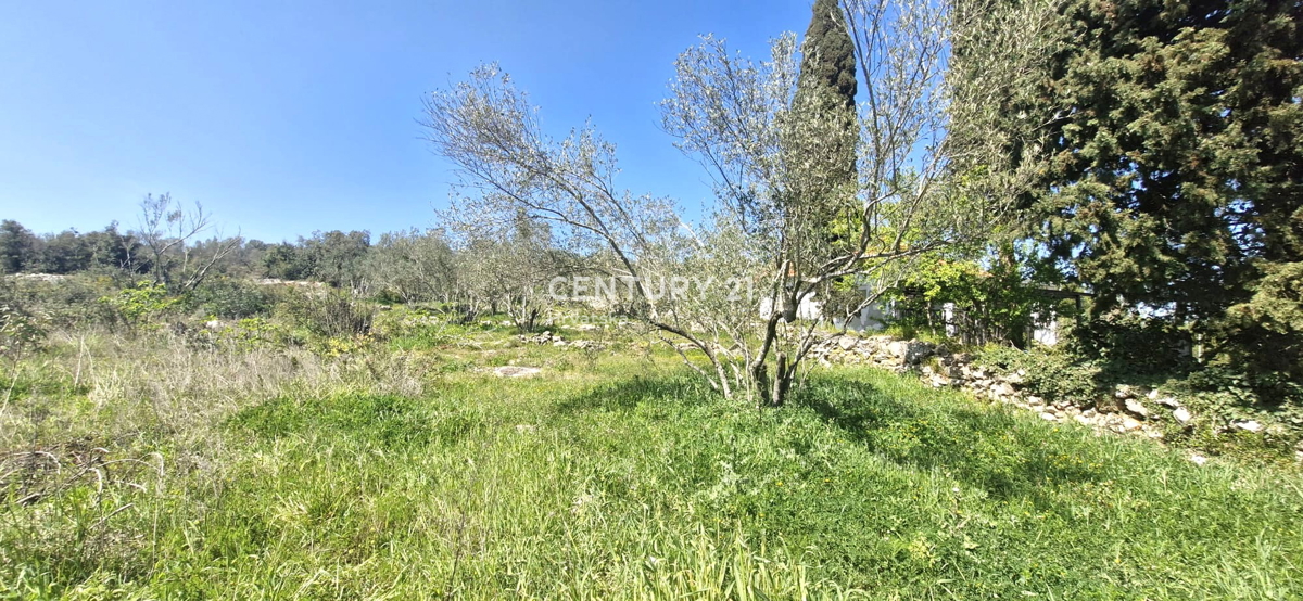 Kukljica - otok Ugljan - gradbena parcela 100 m od morja