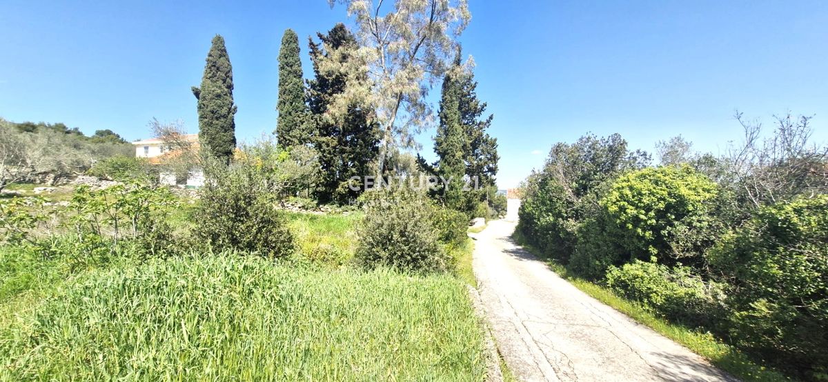 Kukljica - otok Ugljan - gradbena parcela 100 m od morja