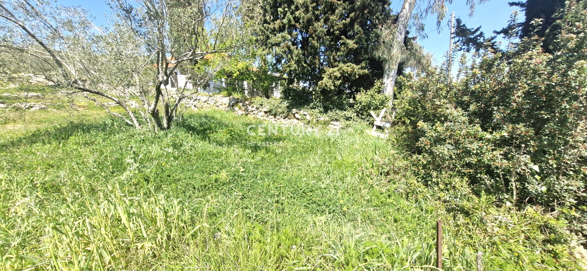 Kukljica - otok Ugljan - gradbena parcela 100 m od morja