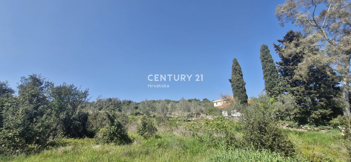 Kukljica - otok Ugljan - gradbena parcela 100 m od morja