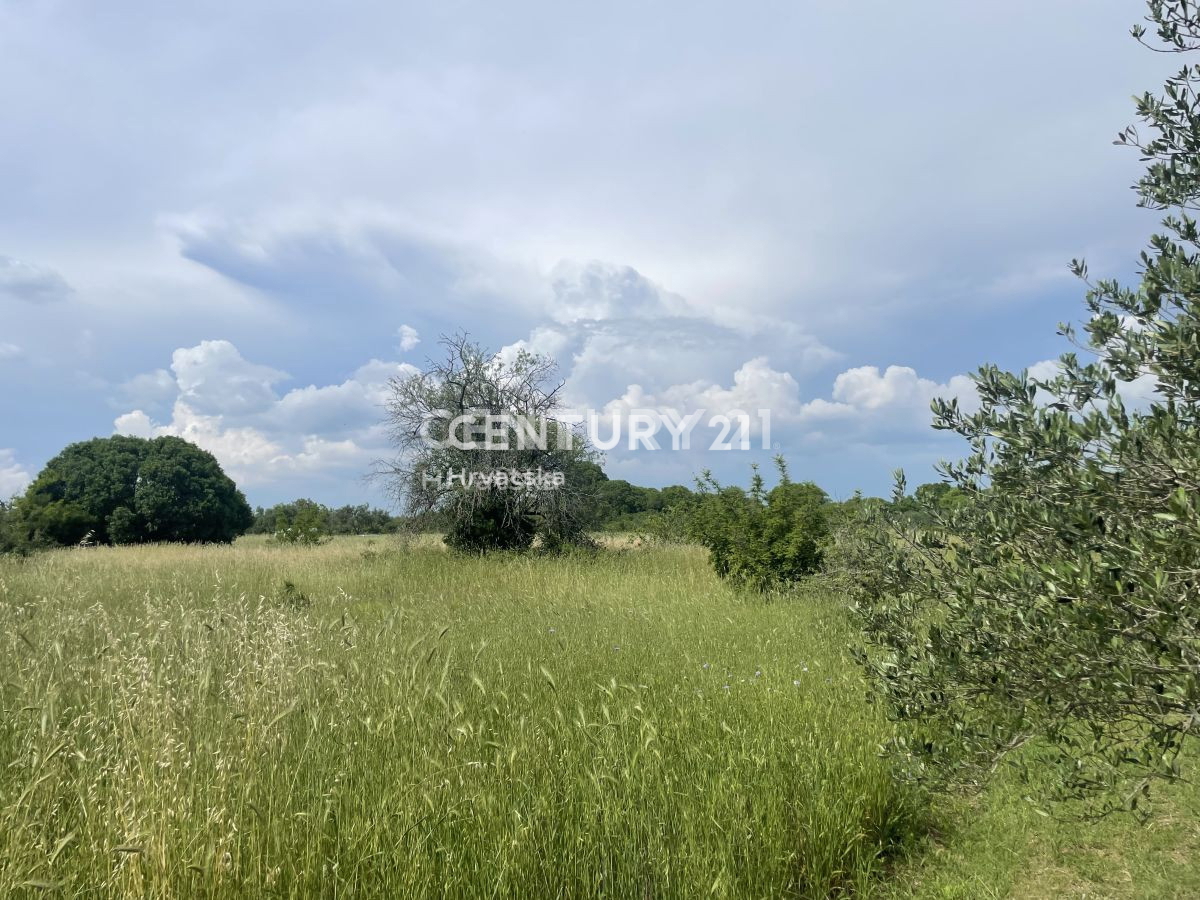 Poljoprivredno zemljišče v Svetem Filipu in Jakovu površine 5953 m2