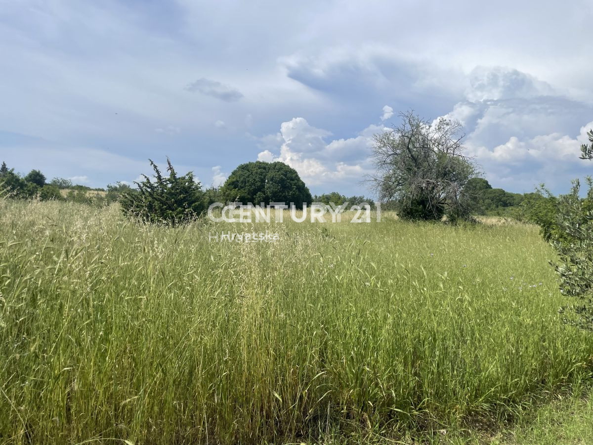 Poljoprivredno zemljišče v Svetem Filipu in Jakovu površine 5953 m2