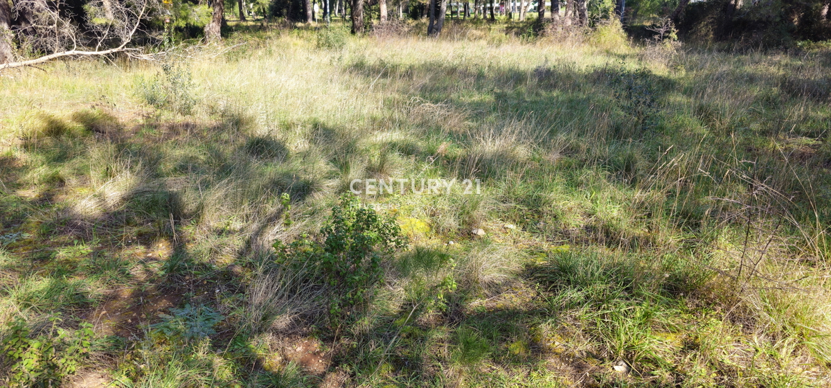 Biograd na Moru, Gradbeno zemljišče 924 m2, pravilne kvadratne oblike z izhodom na dve ulici