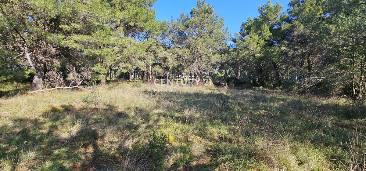 Biograd na Moru, Gradbeno zemljišče 924 m2, pravilne kvadratne oblike z izhodom na dve ulici