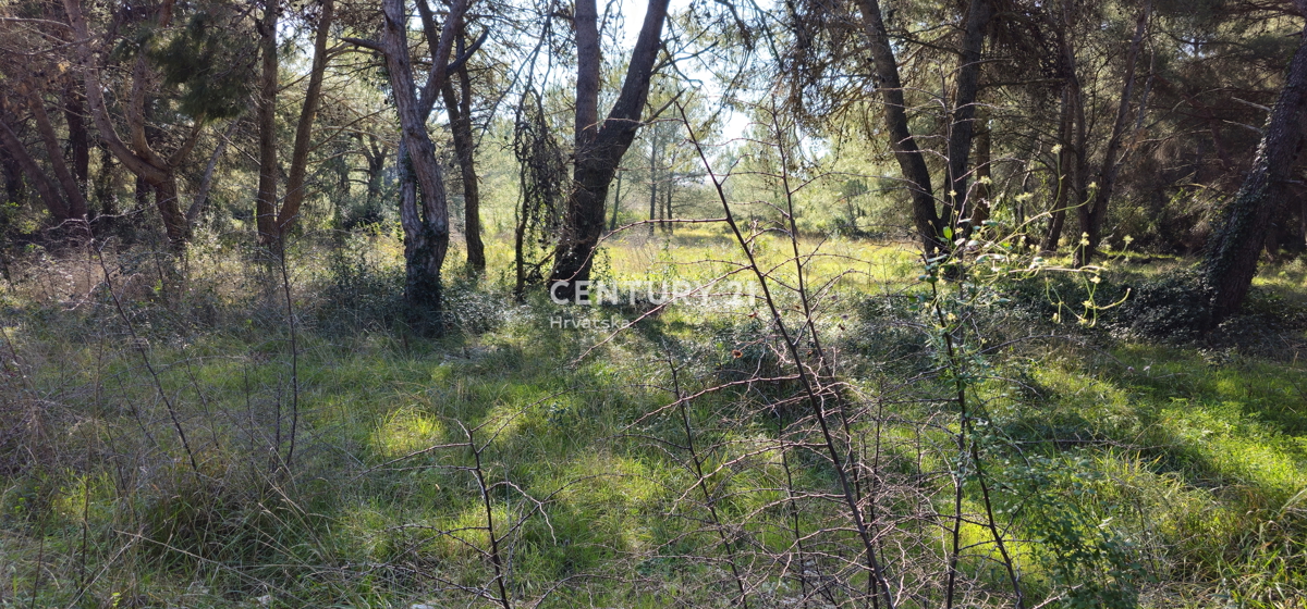 Biograd na Moru, Gradbeno zemljišče 924 m2, pravilne kvadratne oblike z izhodom na dve ulici