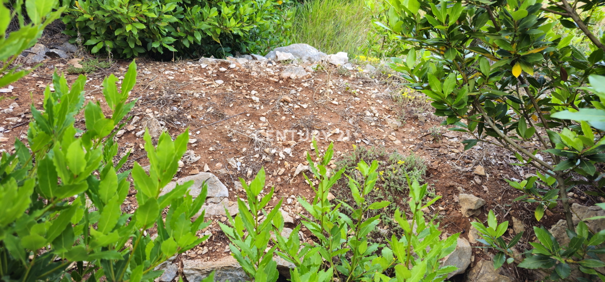 Pašman, Pašman, gradbeno zemljišče, ravna vrtna površina obkrožena s suhozidom