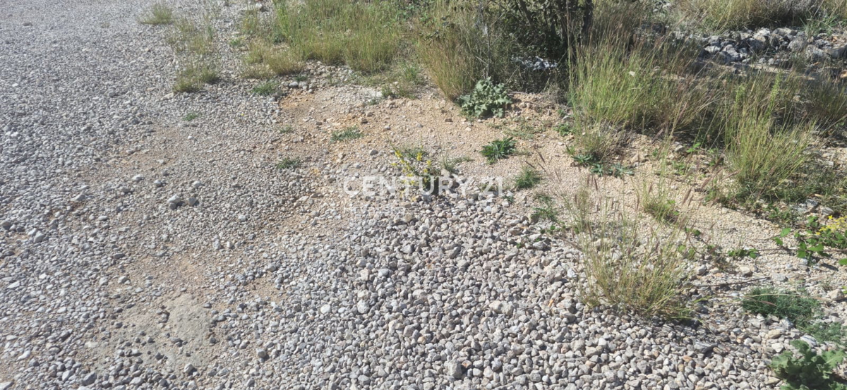 Rovanjska - Jasenice - gradbeno zemljišče s projektom in pogledom na morje