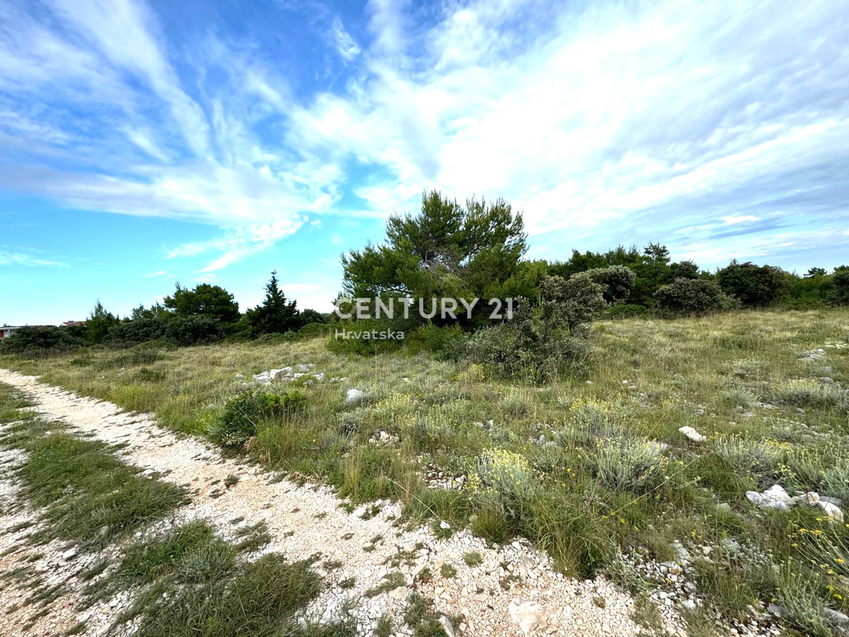 Vir - Torovi - Zadar - kmetijsko zemljišče s potencialom za gradbeno zemljišče