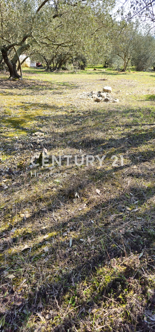 Kukljica, otok Ugljan, gradbena parcela površine 1840 m2 ograjena s suhozidom