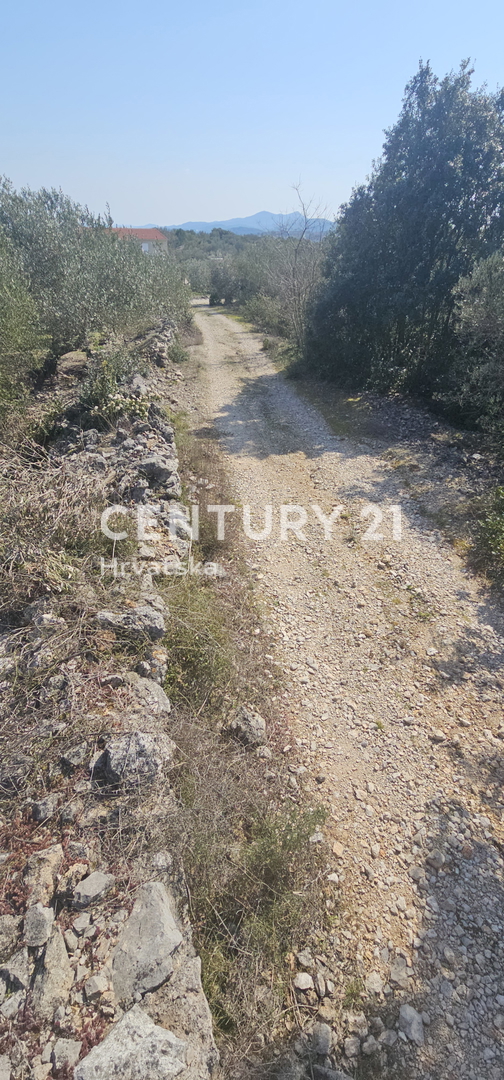 Kukljica, otok Ugljan, gradbena parcela površine 1840 m2 ograjena s suhozidom