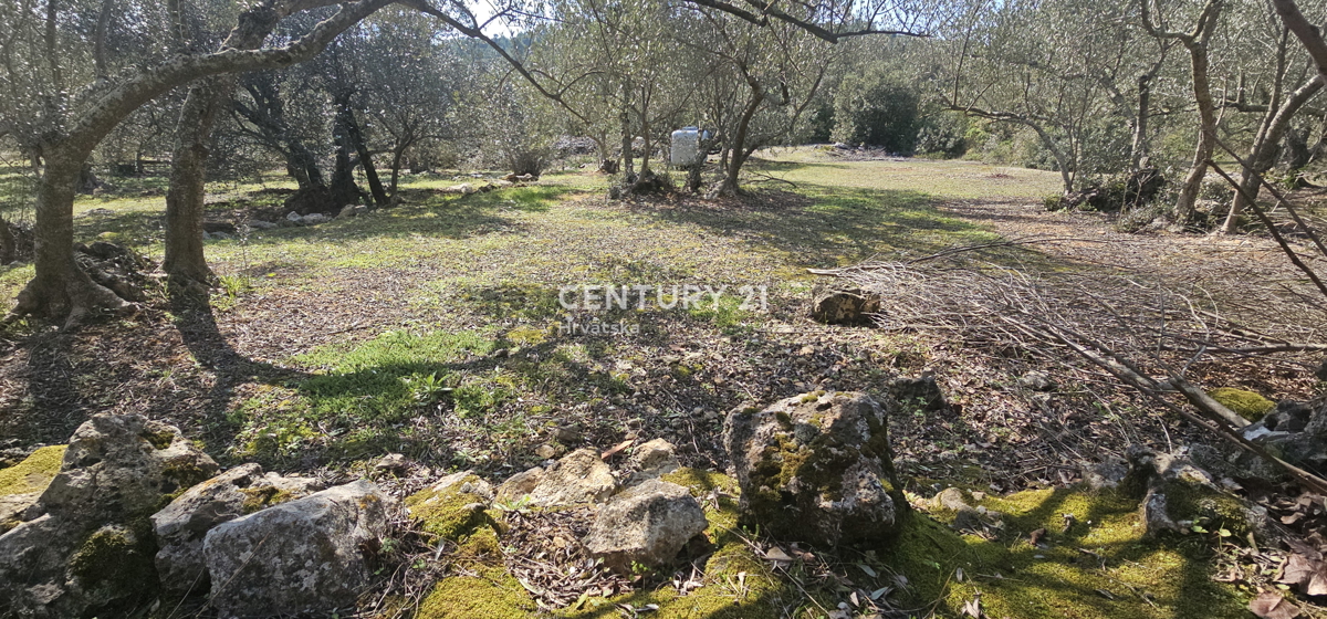 Kukljica, otok Ugljan, gradbena parcela površine 1840 m2 ograjena s suhozidom