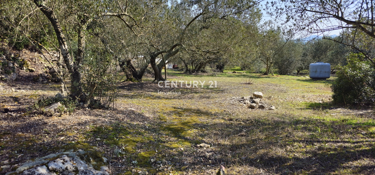 Kukljica, otok Ugljan, gradbena parcela površine 1840 m2 ograjena s suhozidom