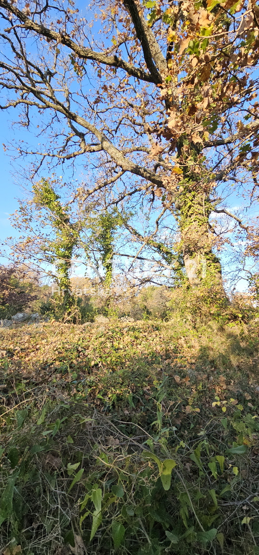 Pakoštane, Drage, gradbena parcela površine 1040 m2