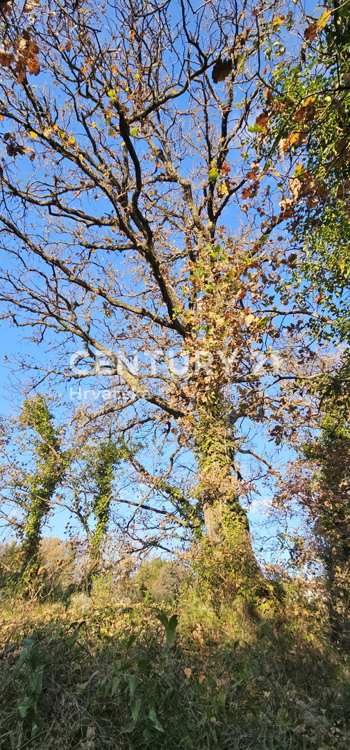 Pakoštane, Drage, gradbena parcela površine 1040 m2