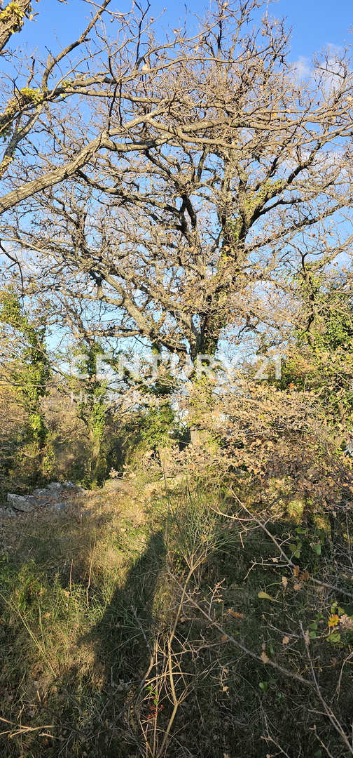 Pakoštane, Drage, gradbena parcela površine 1040 m2