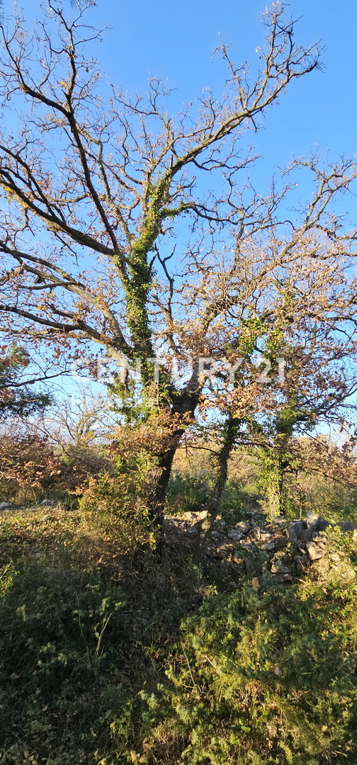 Pakoštane, Drage, gradbena parcela površine 1040 m2