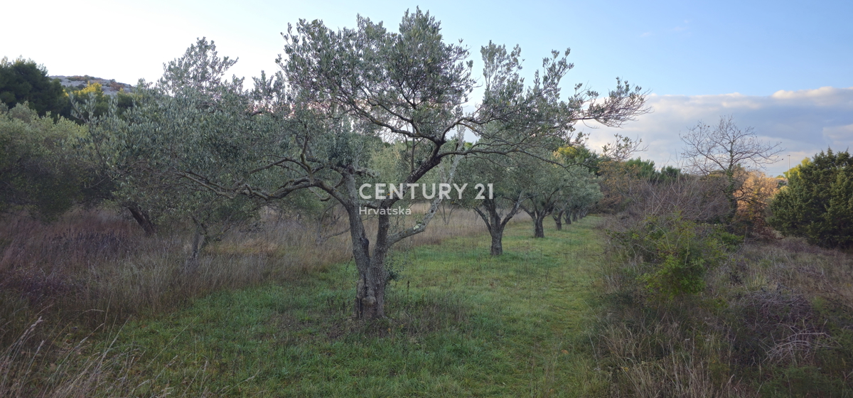 Pakoštane, Drage, gradbena parcela površine 1040 m2