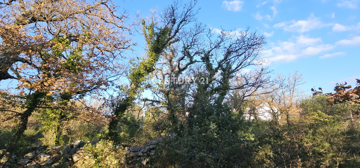 Pakoštane, Drage, gradbena parcela površine 1040 m2