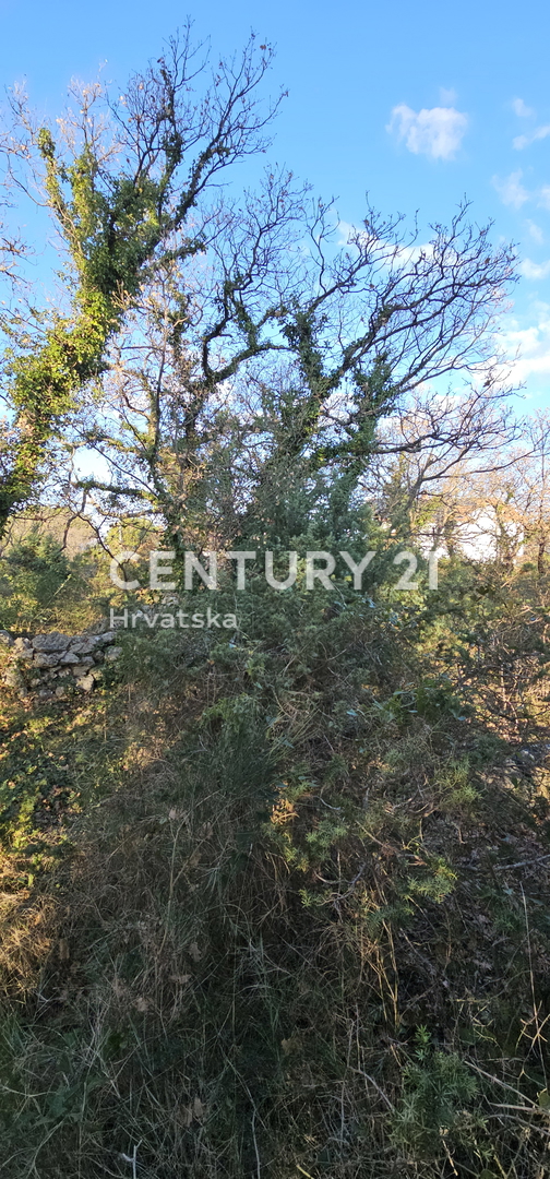 Pakoštane, Drage, gradbena parcela površine 1040 m2