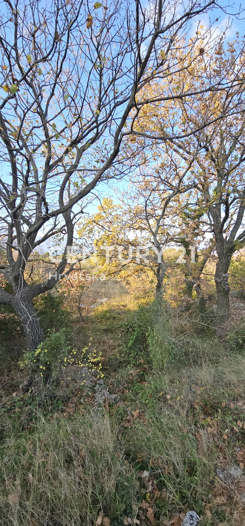 Pakoštane, Drage, gradbena parcela površine 1040 m2