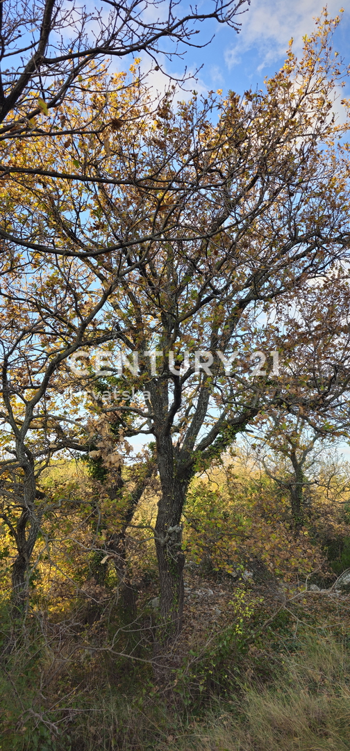 Pakoštane, Drage, gradbena parcela površine 1040 m2