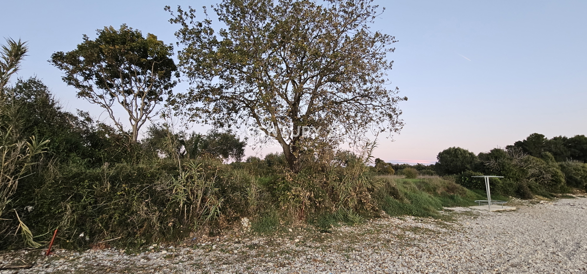 Biograd na Moru, Kumenat, 2.900 m2 zemljišča v turistični coni